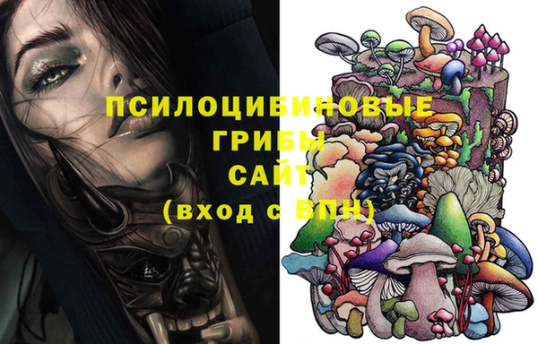 apvp Алзамай