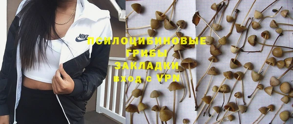 а пвп мука Алексеевка