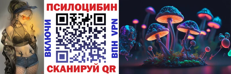 Галлюциногенные грибы мухоморы  ОМГ ОМГ онион  Новокубанск  наркотики 