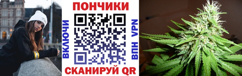 Канабис сатива  Новокубанск 